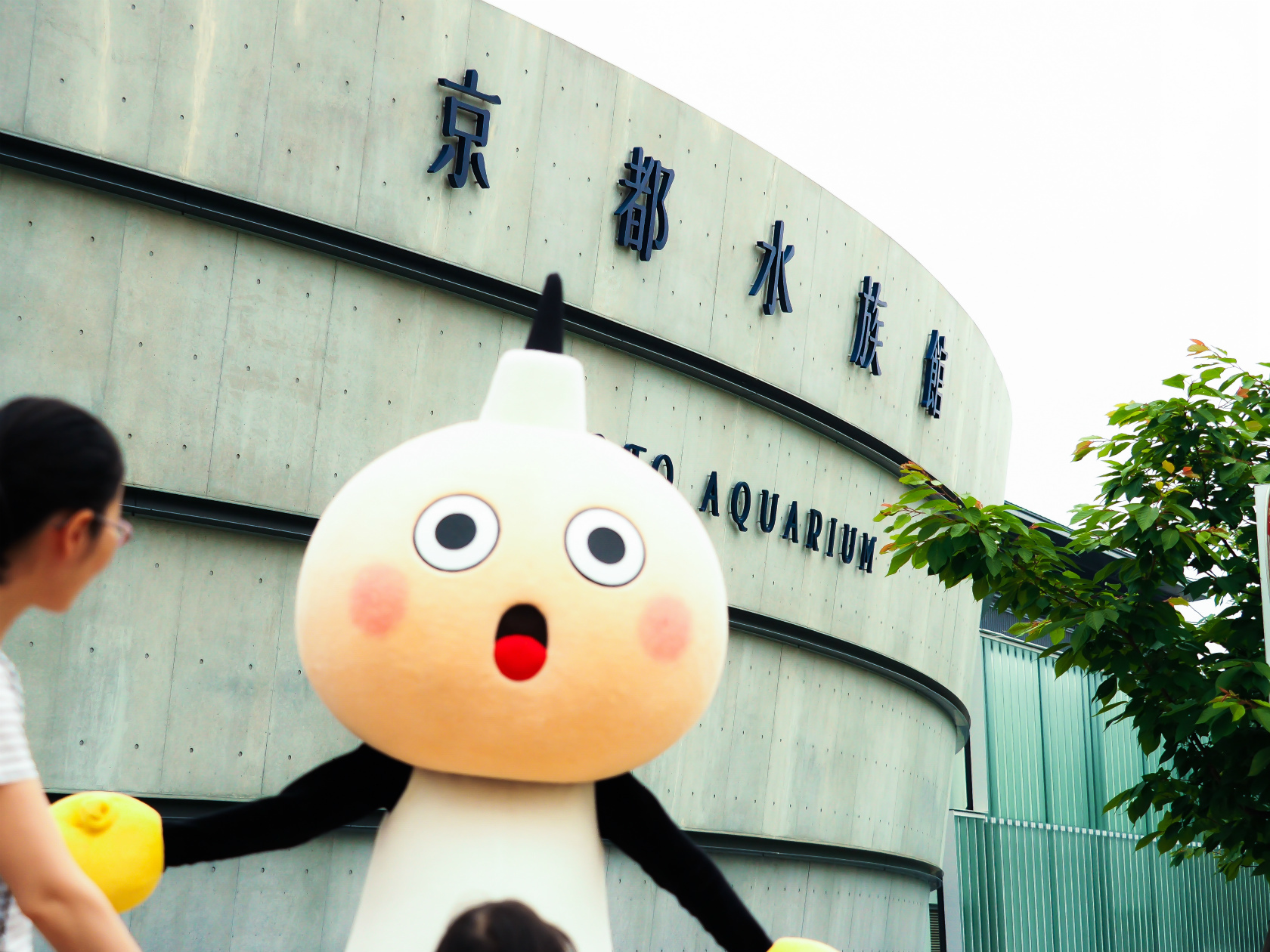 京都ブロードタワー たわわちゃん 誕生日前に京都水族館にいってきました
